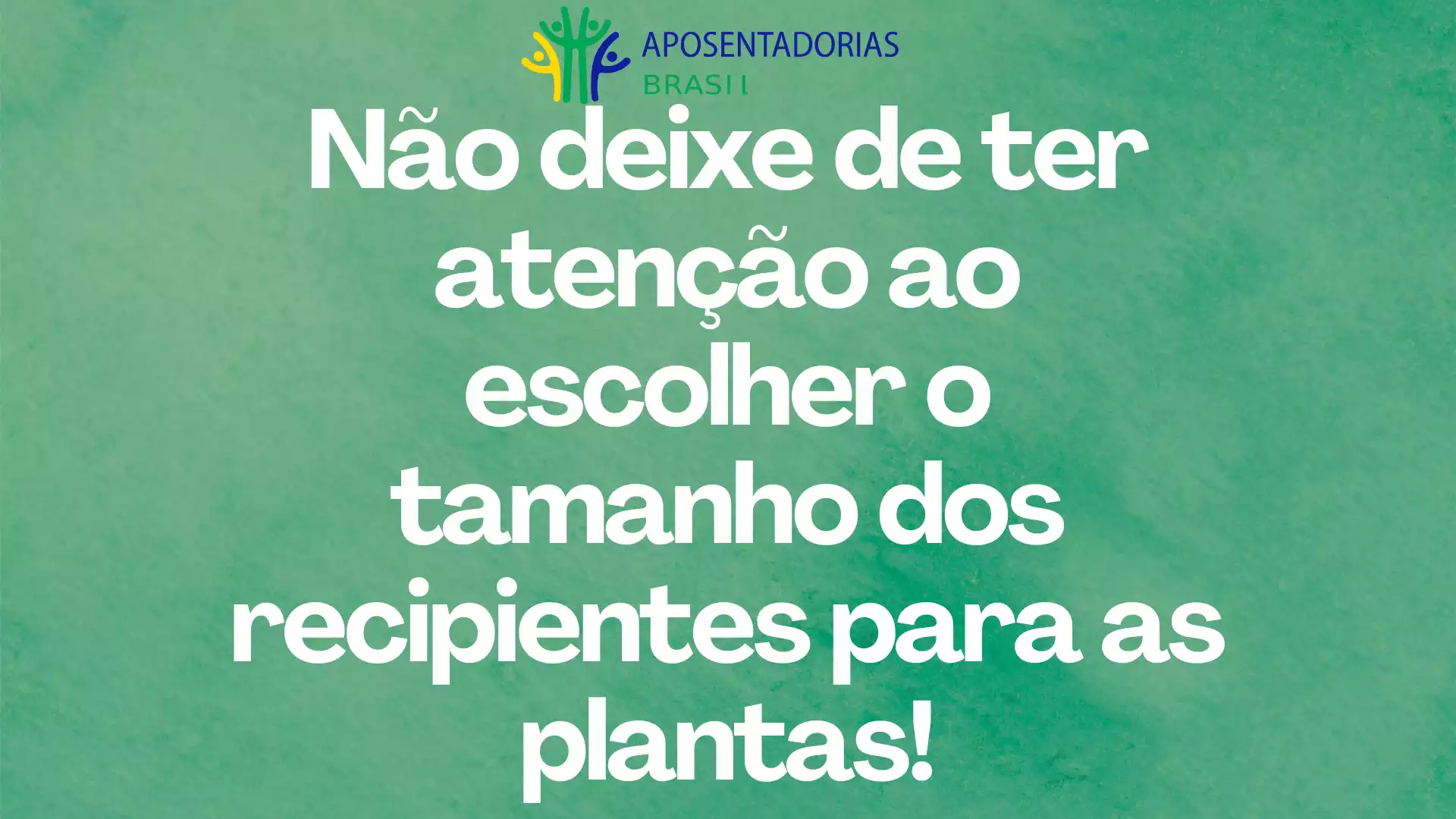 Atenção ao escolher os recipientes